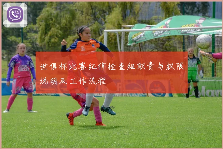 世俱杯比赛纪律检查组职责与权限说明及工作流程