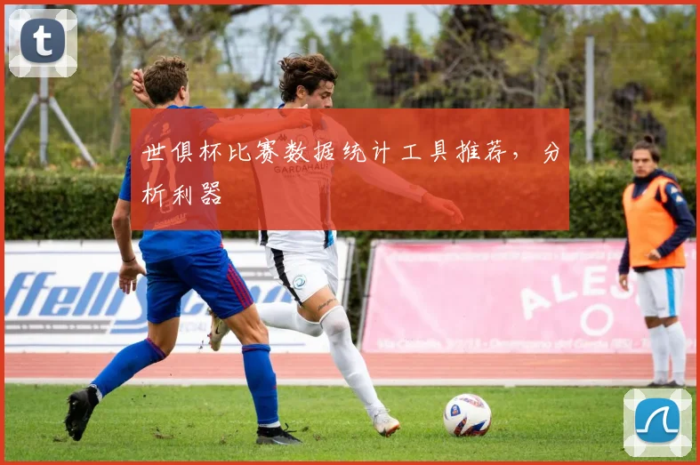 世俱杯比赛数据统计工具推荐，分析利器