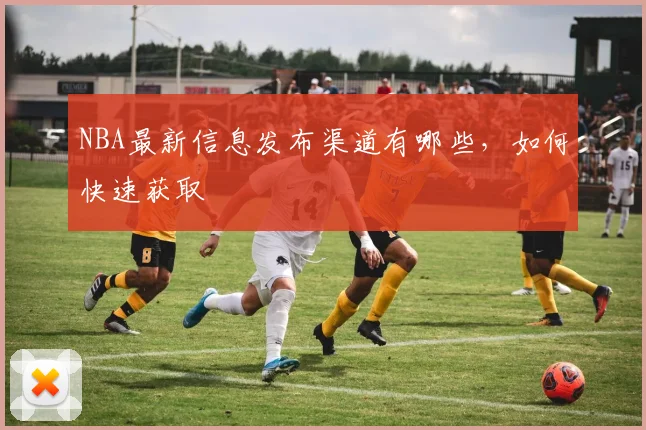 NBA最新信息发布渠道有哪些，如何快速获取