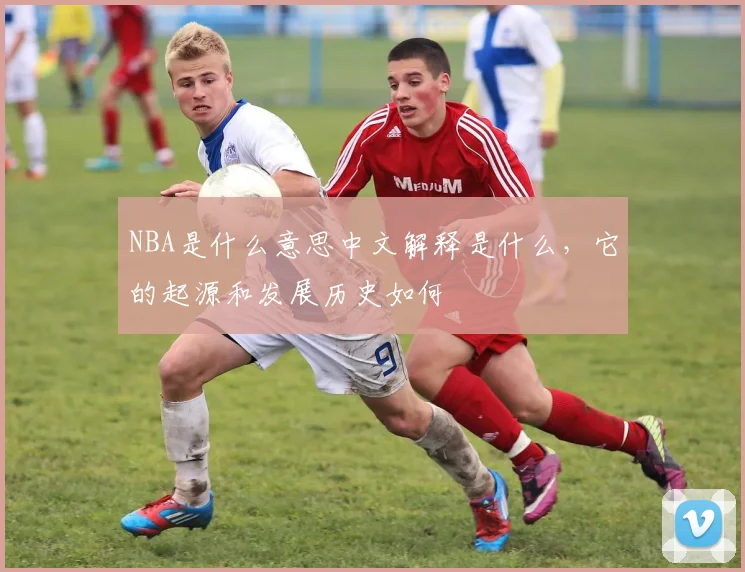 NBA是什么意思中文解释是什么，它的起源和发展历史如何